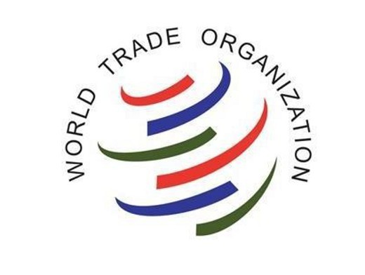 В Душанбе обсуждены вопросы влияния членства РТ в ВТО на легкую промышленность