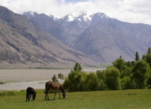 Агроландшафты Таджикистана нуждаются в защите