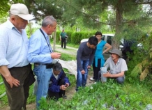 Лесники Таджикистана, Кыргызстана и Узбекистана обменялись опытом