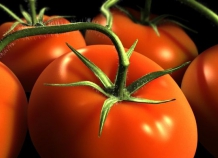 МВД завершило проверку «помидорного дела»: 9 человек привлечены к ответственности