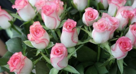 Служба доставки цветов и подарков по г. Душанбе принимает заказы