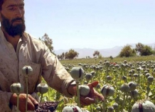 В Душанбе обсудили пути борьбы с производством и распространением афганских наркотиков