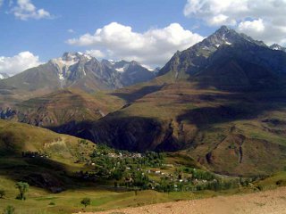 Лесные генетические ресурсы Таджикистана