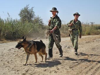 Таджикистан закрыл границу с Афганистаном