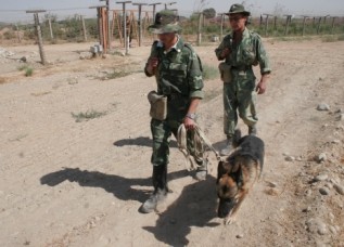 Таджикистан закрыл свои КПП на Горно-Бадахшанском направлении границы с Афганистаном