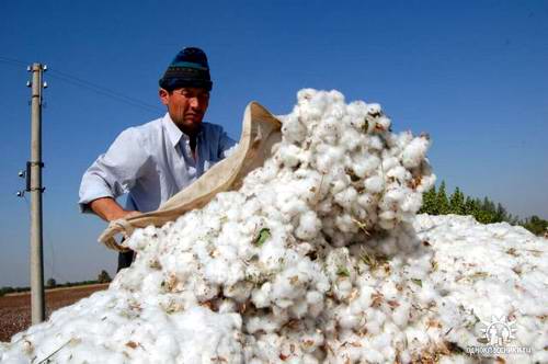 Алюминий и хлопок составляют порядка 80% экспортного потенциала Таджикистана