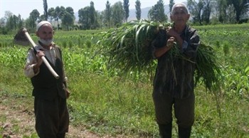 Таджикских фермеров обучат понимать новый Земельный Кодекс