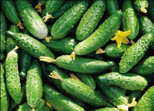 На столичных рынках Таджикистана резко подорожали овощи