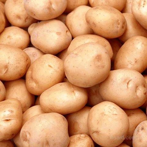 Около 440 тысяч тонн картофеля собрано в Таджикистане