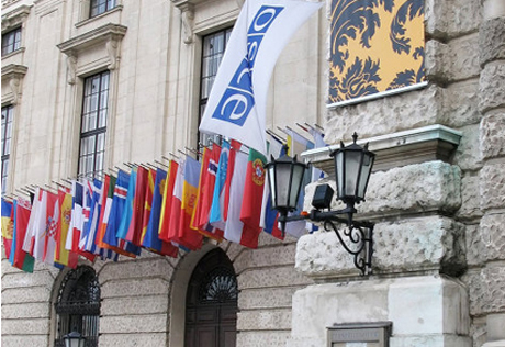 Представители гражданского общества и правительства обсудили обязательства перед ОБСЕ