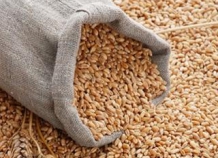 Таджикистан сократил импорт пшеницы
