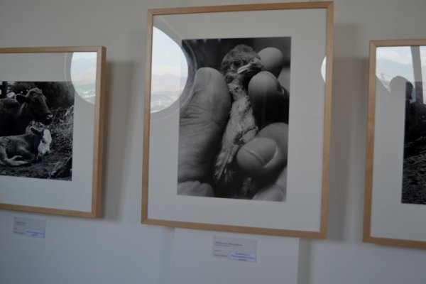 В Душанбе открылась фотовыставка «Тохоку - глазами японских фотографов» 