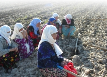 Минсельхоз РТ: Успех сельхозреформы зависит от степени реализации потенциала женщин