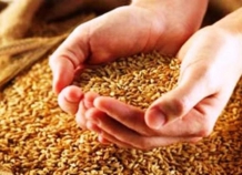 Цены на пшеницу и муку в Таджикистане будут снижаться