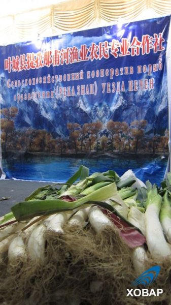 Выставка-ярмарка «СУАН КНР-Таджикистан - 2013»