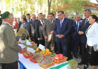Президент РТ посетил Бадахшанский сад