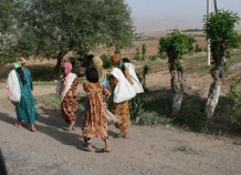 «Брошенные жены» мигрантов получили продовольственную помощь в Кулябе
