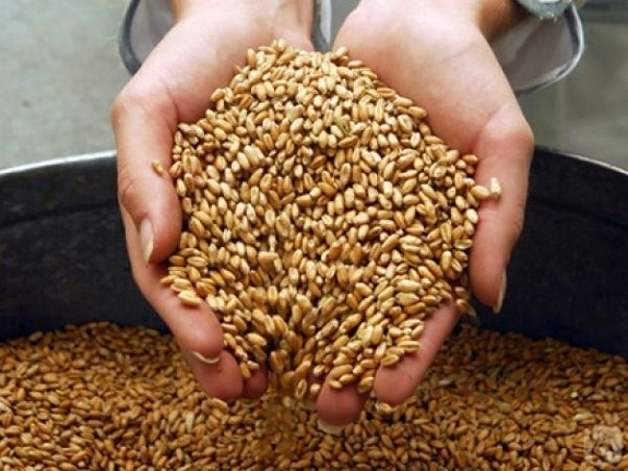 В Таджикистане произведено около 1,3 млн. тонн зерновых