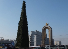 Высота главной новогодней елки в Душанбе составит 22 метра