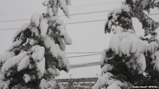 Таджикистан в ожидании снегопада