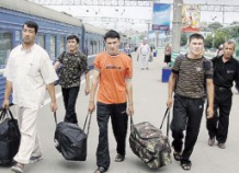 Таджикских мигрантов планируют вовлекать в развитии сельскохозяйственного потенциала РФ