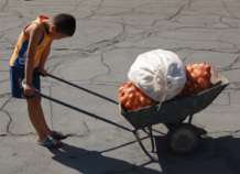 В Хатлоне выявлено 12 случаев привлечения несовершеннолетних детей к тяжелому труду
