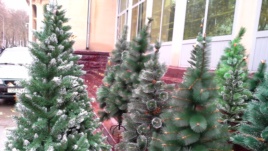 Таджикистан встречает Новый год. Без Деда Мороза и Снегурочки