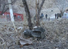 Погранвойска Таджикистана продолжают молчать об инциденте на границе