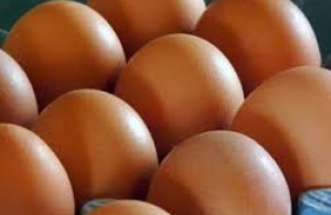 22 тонны испорченных яиц из Ирана прибыли в Таджикистан?