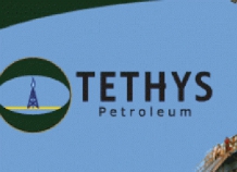 В Душанбе обсудили дальнейшие действия Tethys Petroleum в Таджикистане