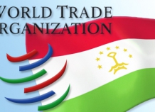 В Таджикистане примут программу по адаптации экономики к требованиям ВТО