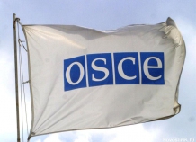 ОБСЕ выразила готовность поддержать Таджикистан после вывода сил НАТО из Афганистана