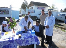День бесплатной медицины в Кулябе