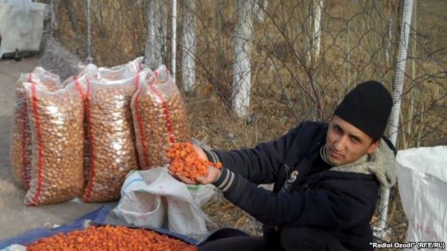 Таджикский дехканин остался за чертой рынка