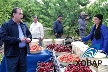 Э. Рахмон посетил сад 15-летие независимости Таджикистана