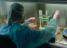 Минздрав предупредил о небольшом, но все-таки риске распространения вируса Эбола в Таджикистане