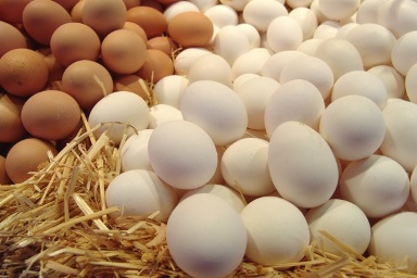 Таджикистан сократил импорт куриного мяса и яиц, увеличив внутреннее производство