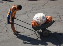 В восьмимиллионном Таджикистане насчитали 522 тыс. работающих детей