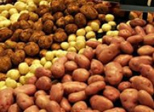Пакистан намерен увеличить поставки сельхозпродукции в Таджикистан