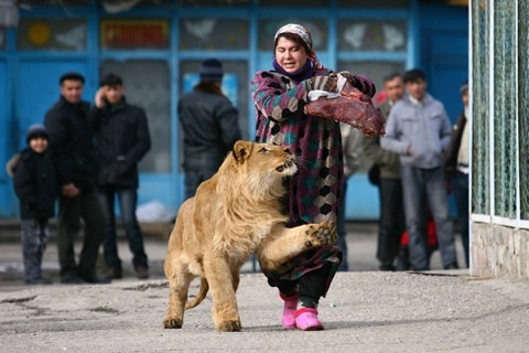 Душанбинский Зоопарк переедет в Парк Победы