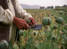 Премьер Таджикистана и глава ФСКН России обсудили наркоугрозу, исходящую из Афганистана