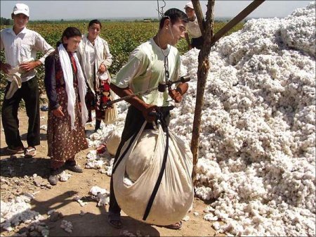 В Таджикистане стартовала массовая компания по сбору хлопка
