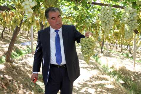 Глава государства посетил яблоневый сад в Гисаре