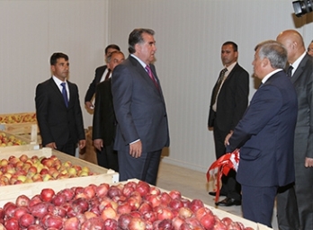 Президент открыл холодильный склад в хозяйстве «Ситабр-Агро» в Гиссаре