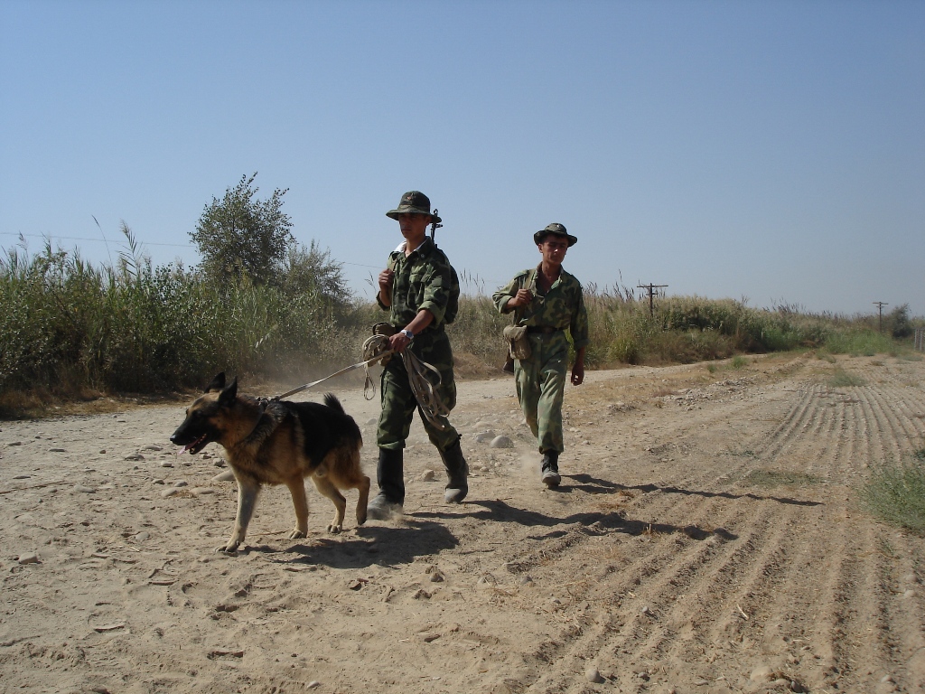 Таджикские пограничники вступили в бой с контрабандистами. Изъята крупная партия наркотиков