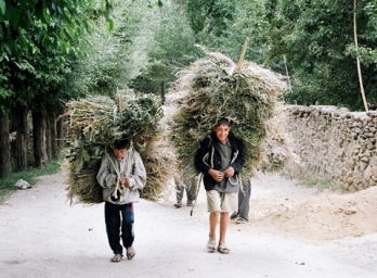 Снижение денежных переводов угрожает успехам Таджикистана в сокращении бедности, - ВБ
