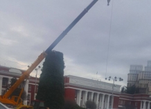 В Душанбе демонтировали главный символ Нового года