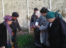 Хатлонские женщины осваивают новые технологии выращивания рассад