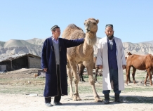 Таджикские казахи учат узбекский язык и собираются на родину