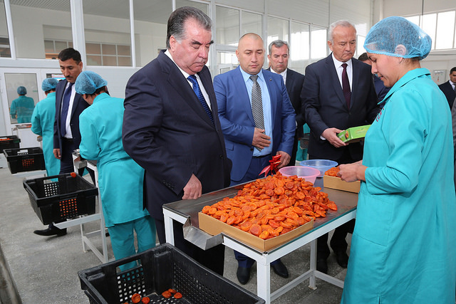 Лидер нации ознакомился с деятельностью предприятия по переработке фруктов ООО «Меваи Канд» г. Канибадама